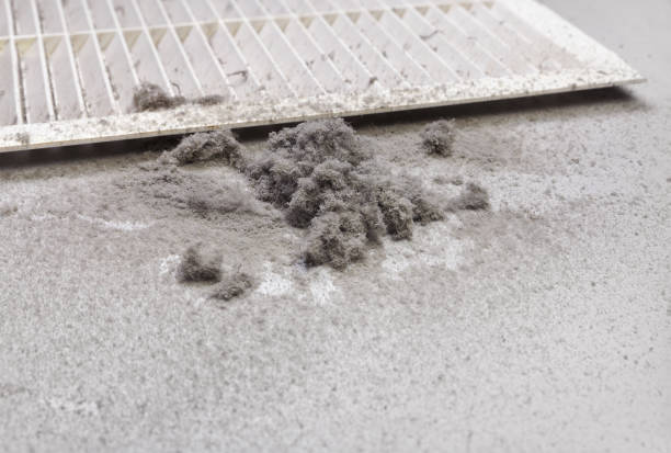 Best Best Air Duct Cleaning Near Me  in Sumrall, MS