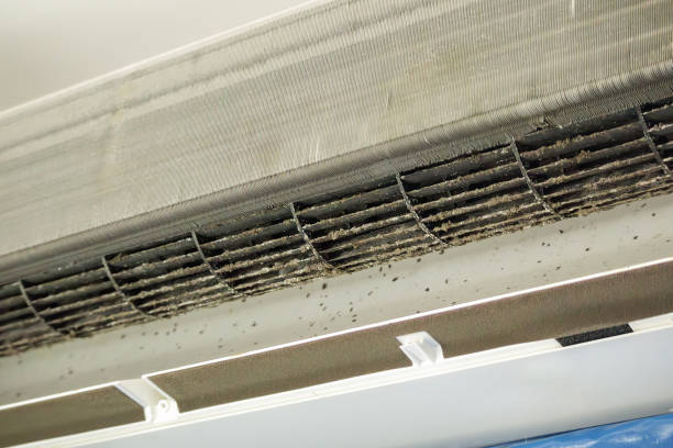 Best HVAC Air Duct Cleaning  in Sumrall, MS